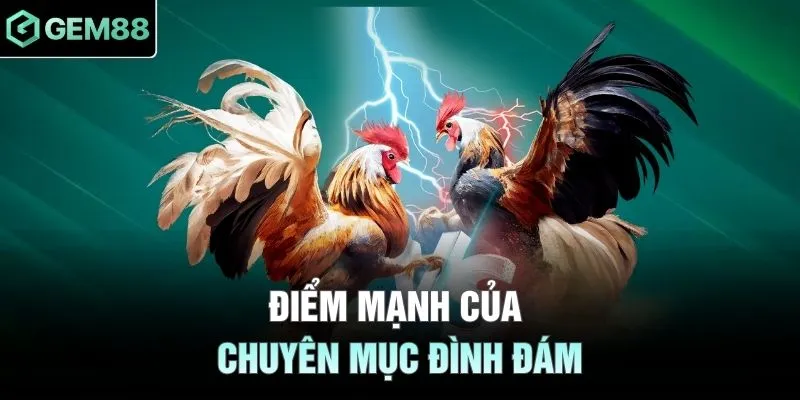 Điểm mạnh của chuyên mục đình đám