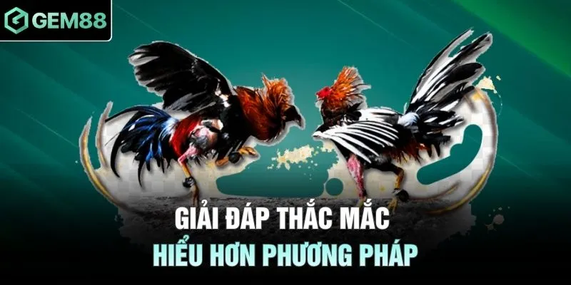 Giải đáp thắc mắc hiểu hơn phương pháp