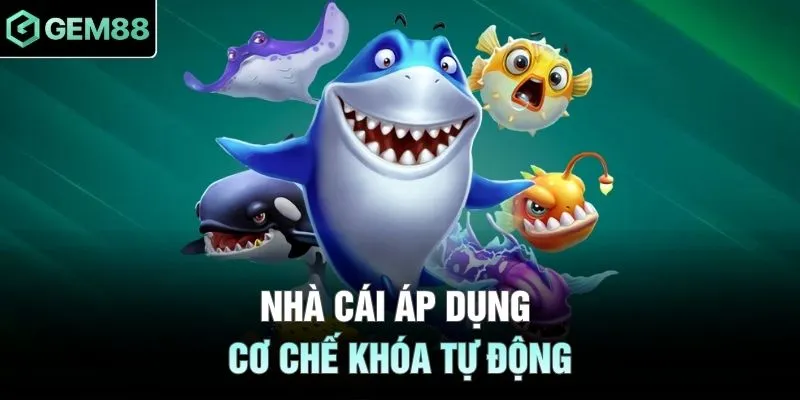 Nhà cái áp dụng cơ chế khóa tự động