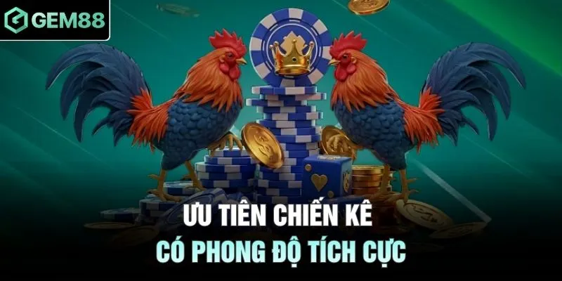 Ưu tiên chiến kê có phong độ tích cực